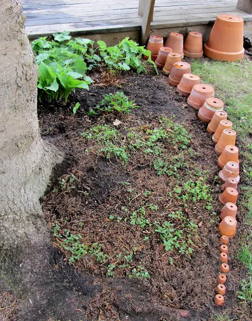 Terracotta Flower Pot Edging