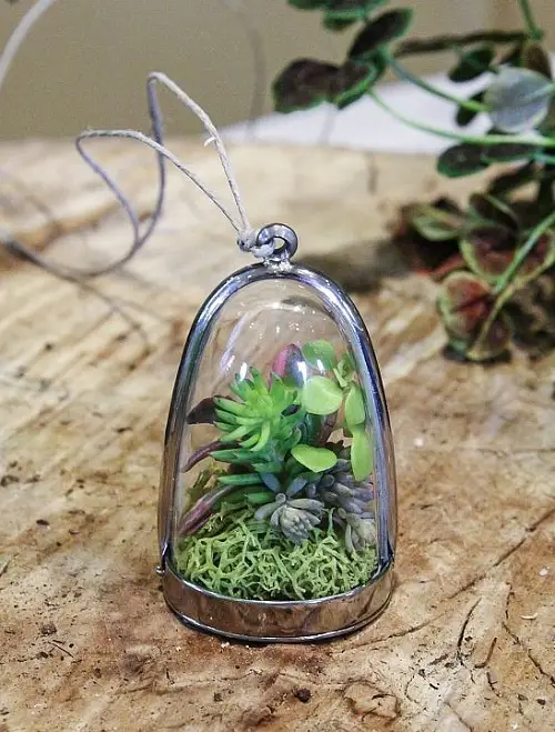 Mini Terrarium Jewelry DIY with Plant Ideas You Must Try