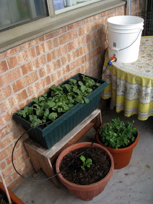 Watering Systems You Can Create for Garden 0