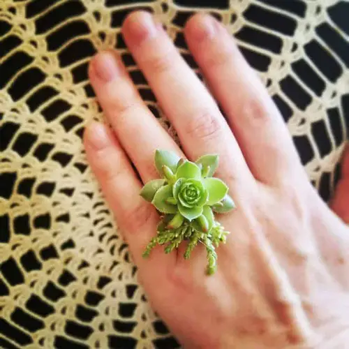 Succulent Ring Jewelry with Plant Ideas You Must Try