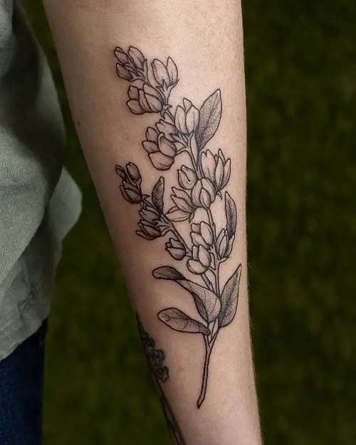 Delphinium Plant Tattoo Ideas