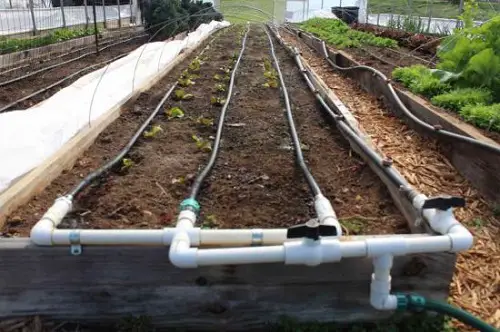 Watering Systems You Can Create for Garden5