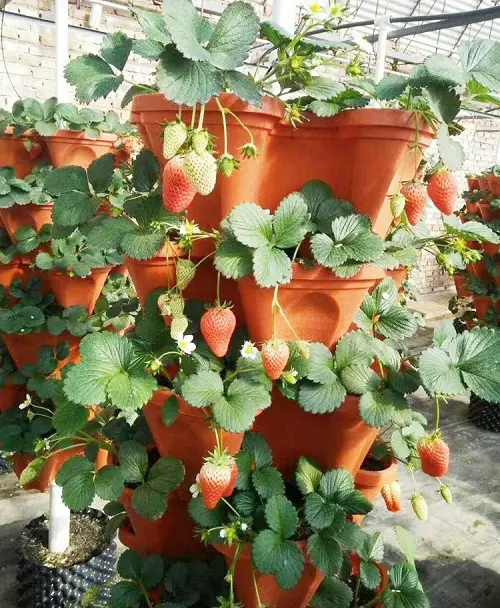 Terracotta Vertical Tiered Planter