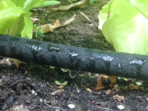 Watering Systems You Can Create for Garden2