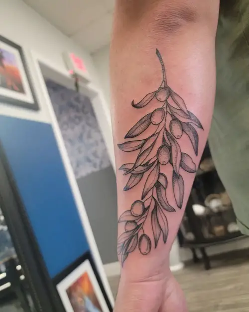 olive Plant Tattoo Ideas