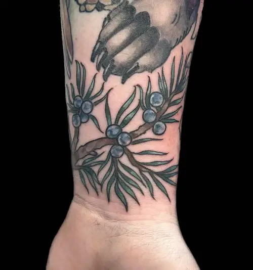 Juniper Berry Plant Tattoo Ideas
