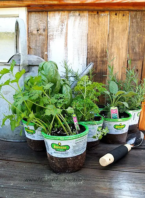 Diy Porch Herb Garden Ideas 201