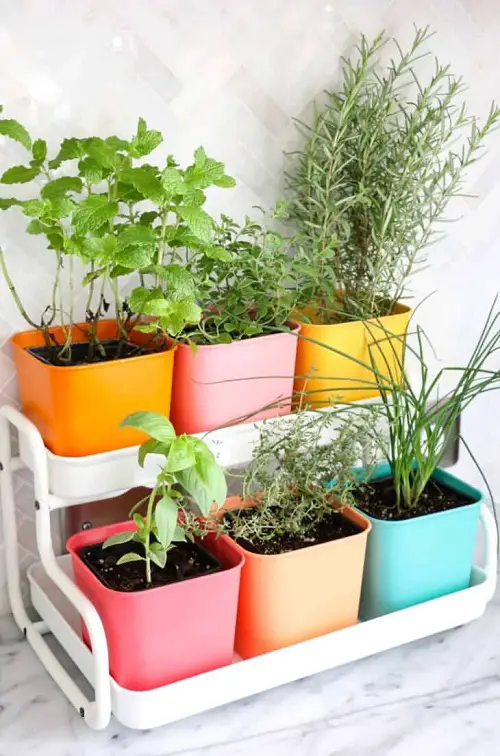 Porch Herb Garden Ideas 2