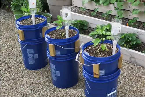 Watering Systems You Can Create for Garden