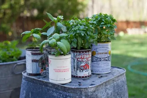 DIY Porch Herb Garden Ideas in garden