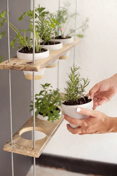 Diy Porch Wire hanging Herb Garden Ideas