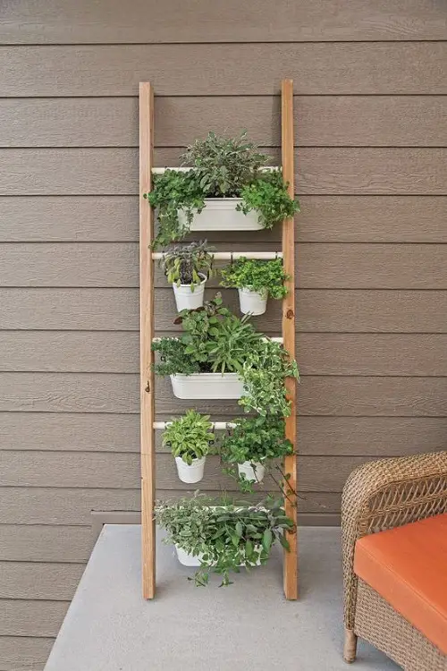 Ladder Porch Herb Garden Ideas 1