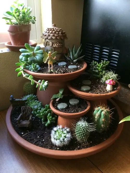 Cacti and Succulent in Simple Tiered Planter