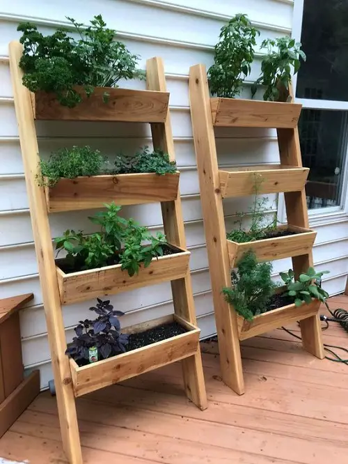 Vertical Ladder Porch Herb Garden Ideas