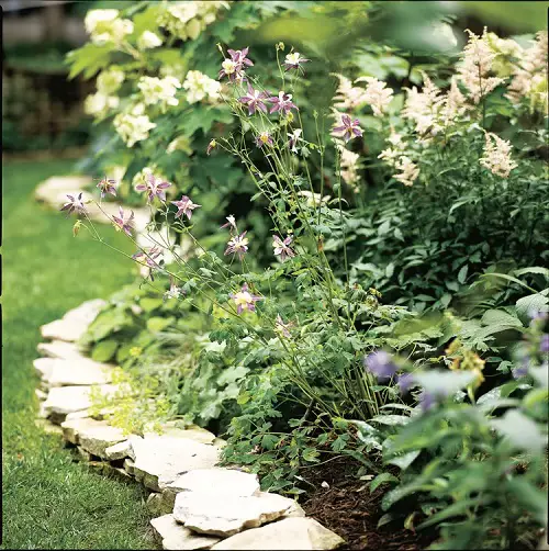 DIY Rock Edge