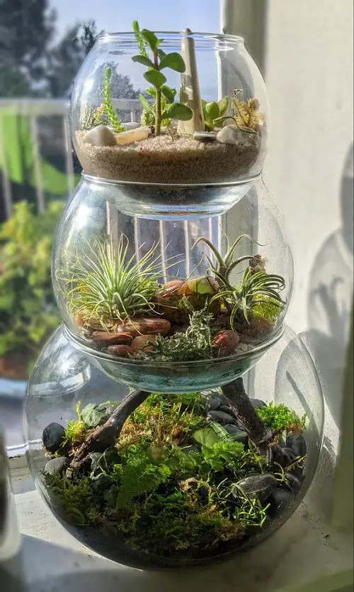 top Tiered Terrarium Planter