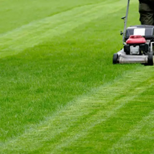 How to Apply Sulfur to My Lawn