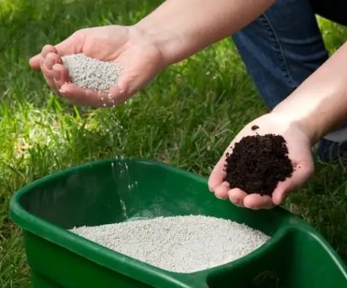 How Often Can I Apply Sulfur to My Lawn 