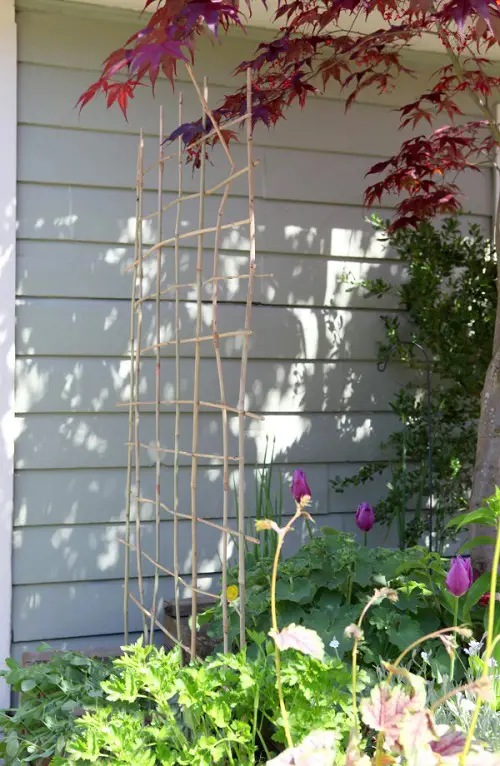 Bamboo Pole Trellis for plants