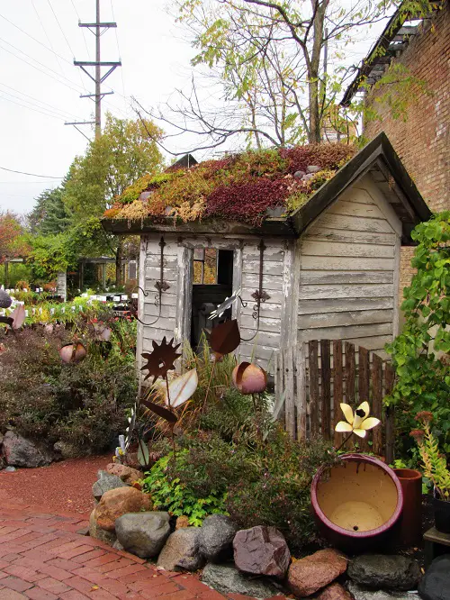 Choosing a Space for the Black Magic Garden