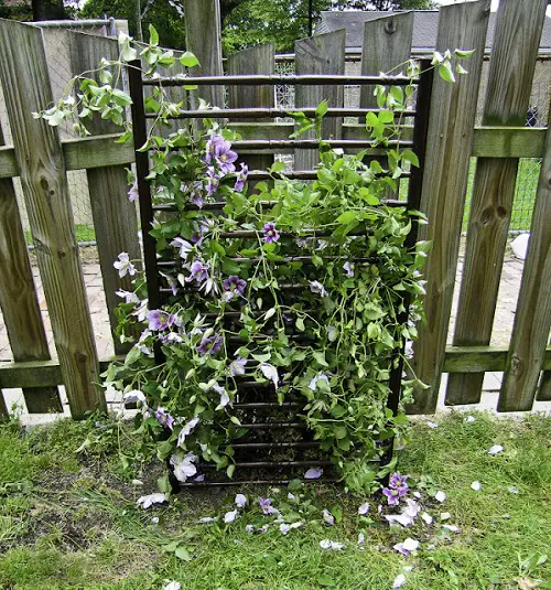 Crib Rail Trellis for plants