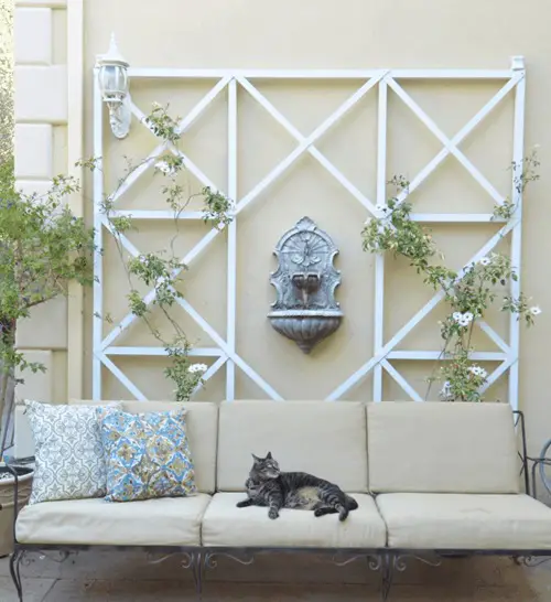 Cross Wall Trellis for Plants Ideas 15