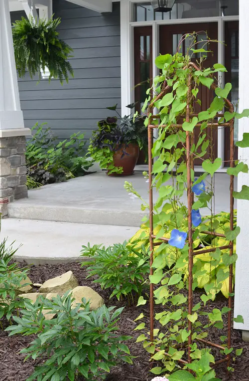 Copper Trellis for plants