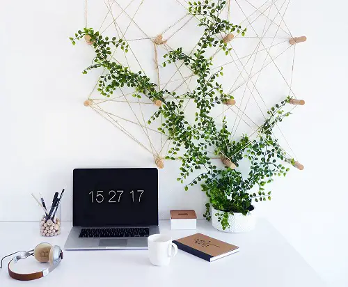 Indoor Rope Trellis