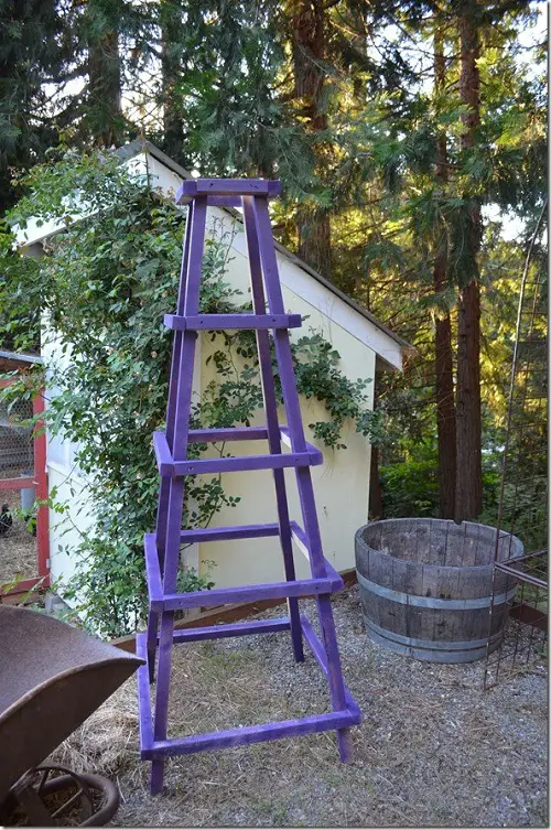 Obelisk for Garden trellis plant