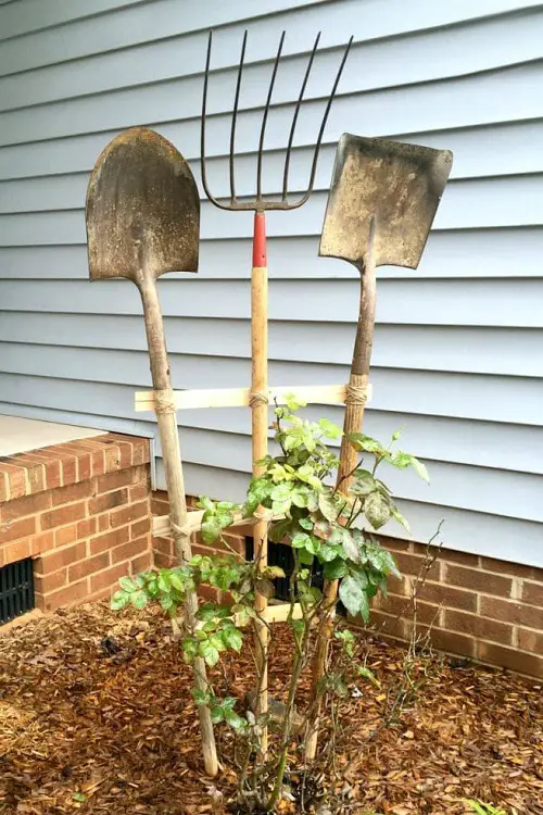 Trellis of Garden Tools for Plants Ideas 22