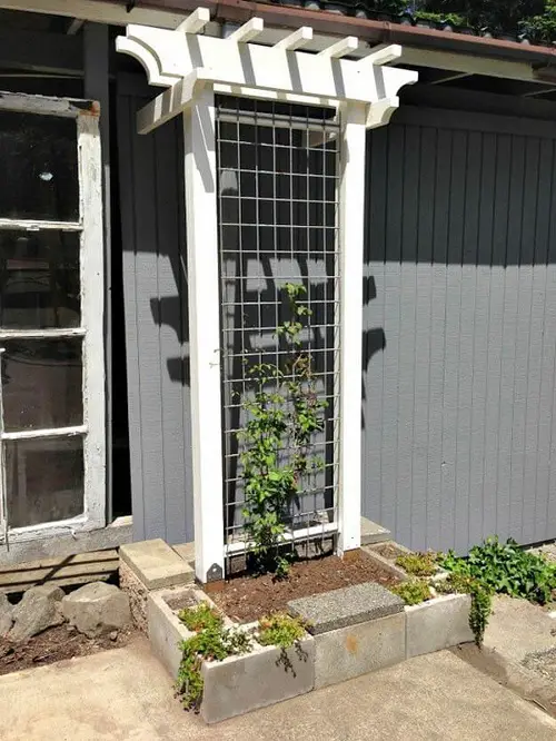 Elegant Garden Trellis for plant