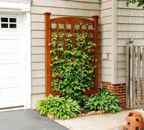 Fancy Trellis DIY Trellis for Plants Ideas 7