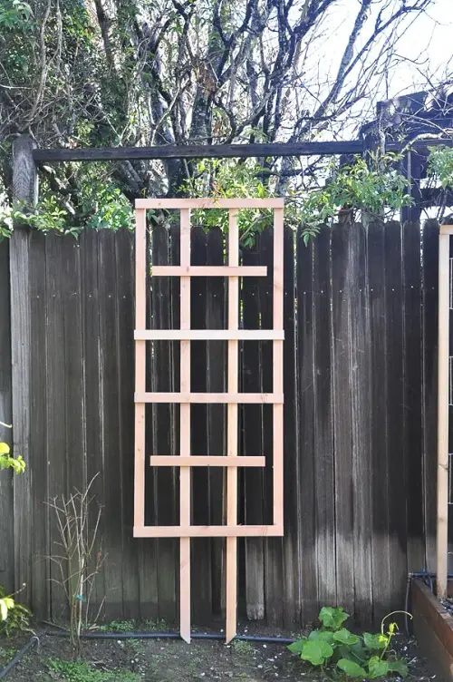 Freestanding Trellis for Plants Ideas 17