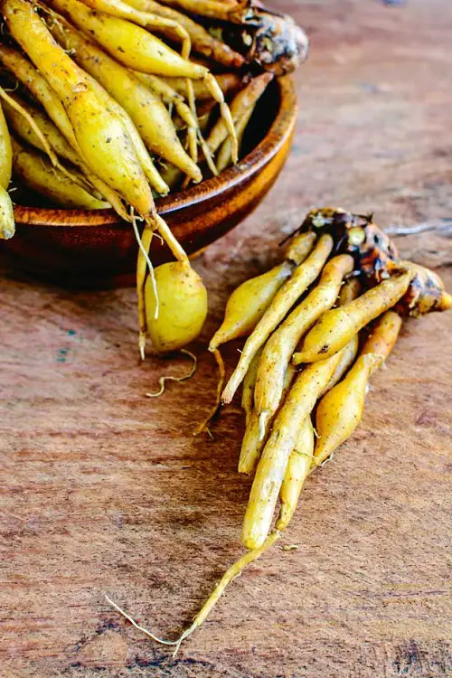 Thai Herbs and Spices