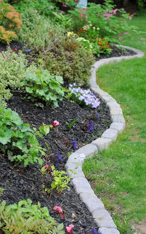 Snake Path Edge