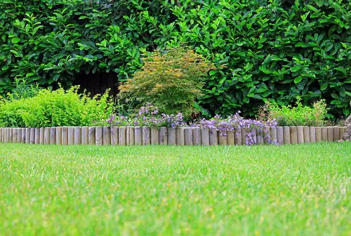 Wooden Poles Edge