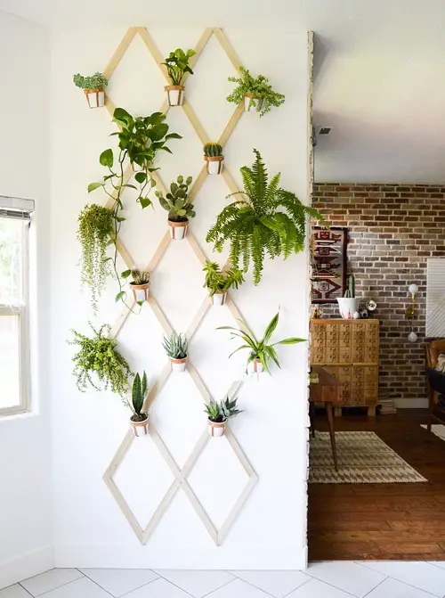 Indoor Vine Trellis for plants