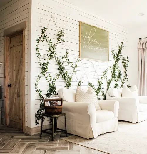 Indoor Wall Trellis Idea 