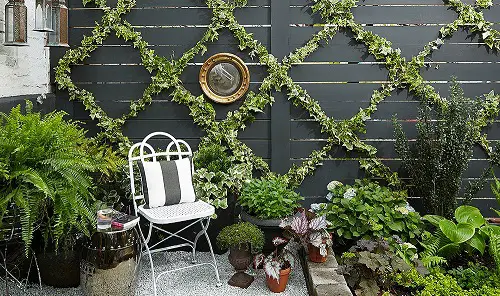 Living Garden Trellis for plants