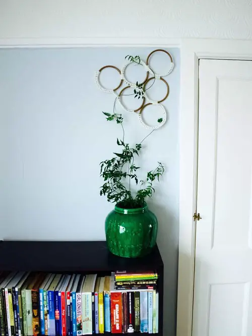 Macrame Trellis for Indoors
