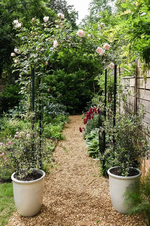 Overhead Trellis for plants