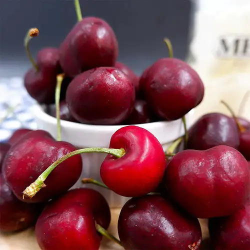 Cherry Varieties for Pot Gardens