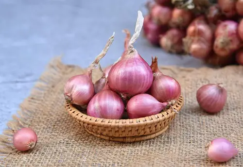 Thai herb inground