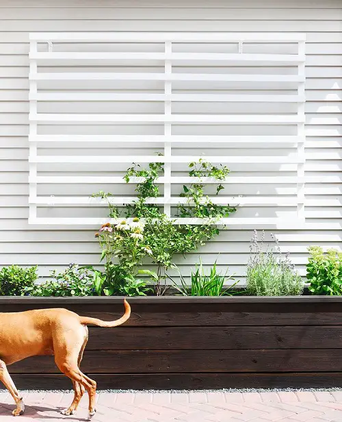 Sleek and Modern Trellis for plants
