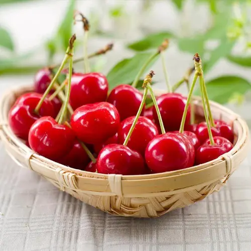 Types of Cherries to Grow in Pots 