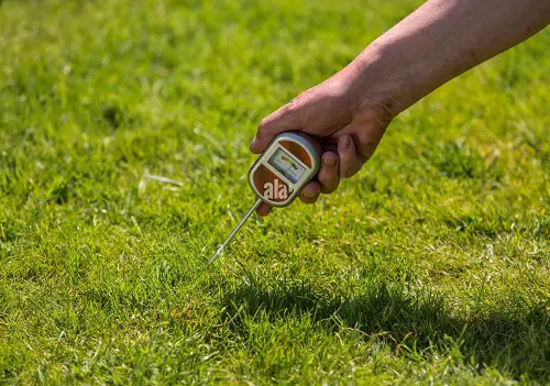 Sulfur Application in Lawn + How to Start and How Often to Apply Sulfur