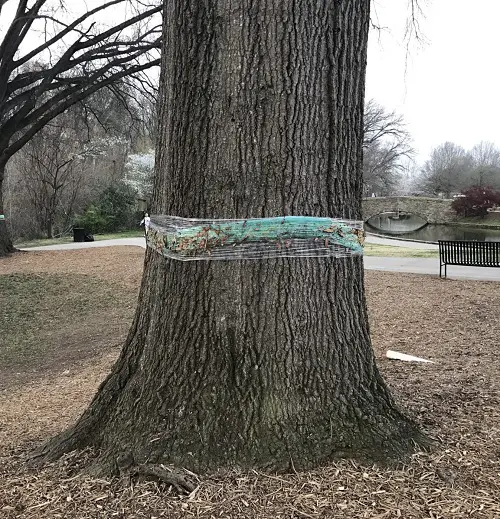 Tree Banding Protective Barrier