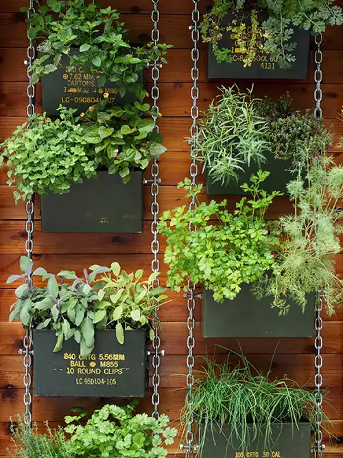 Trellis with Container Garden for plants