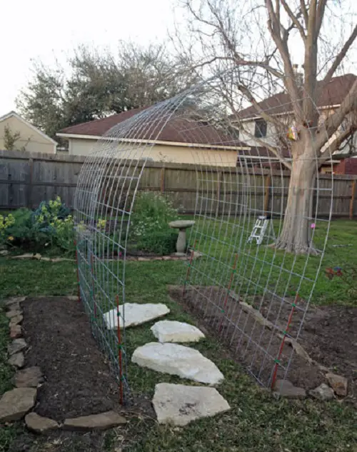 Wagon Trellis for plants