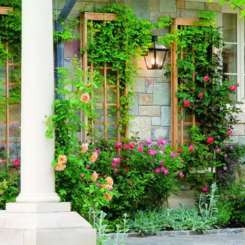 Wall Panel Trellis for plants